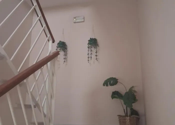 Hostal Puerta Carmona Sevilla